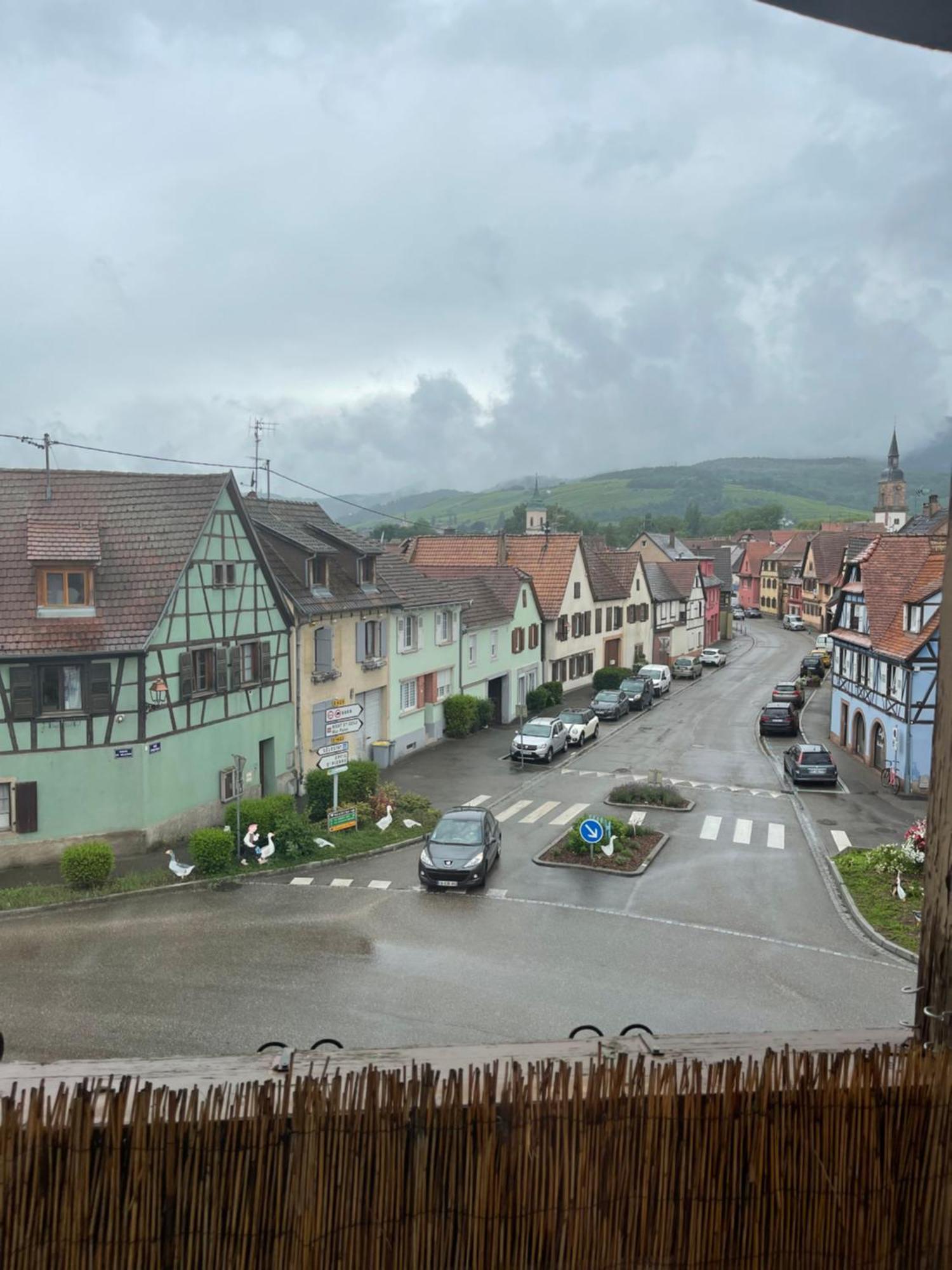 Appartement Centre Alsace Gertwiller Dış mekan fotoğraf